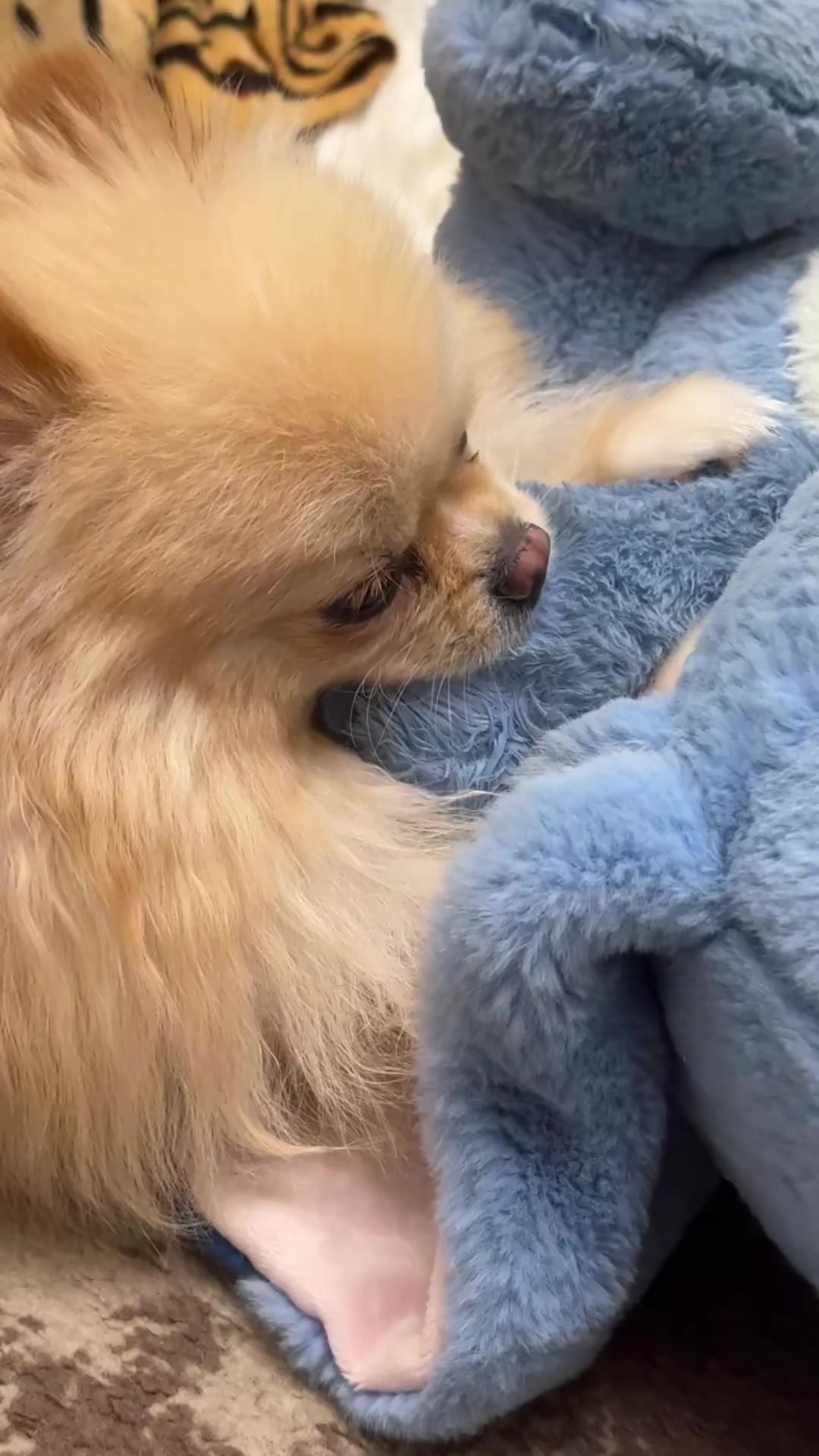 @Медь за деньги