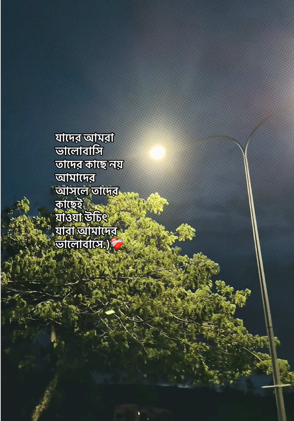 @❏ 𝐓𝐨𝐦'🐼