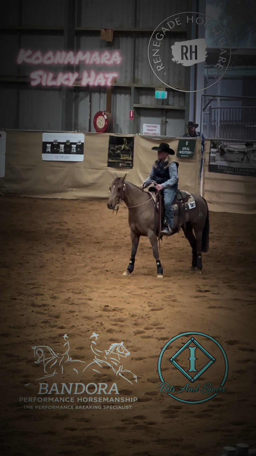 @Bandora_Horsemanship