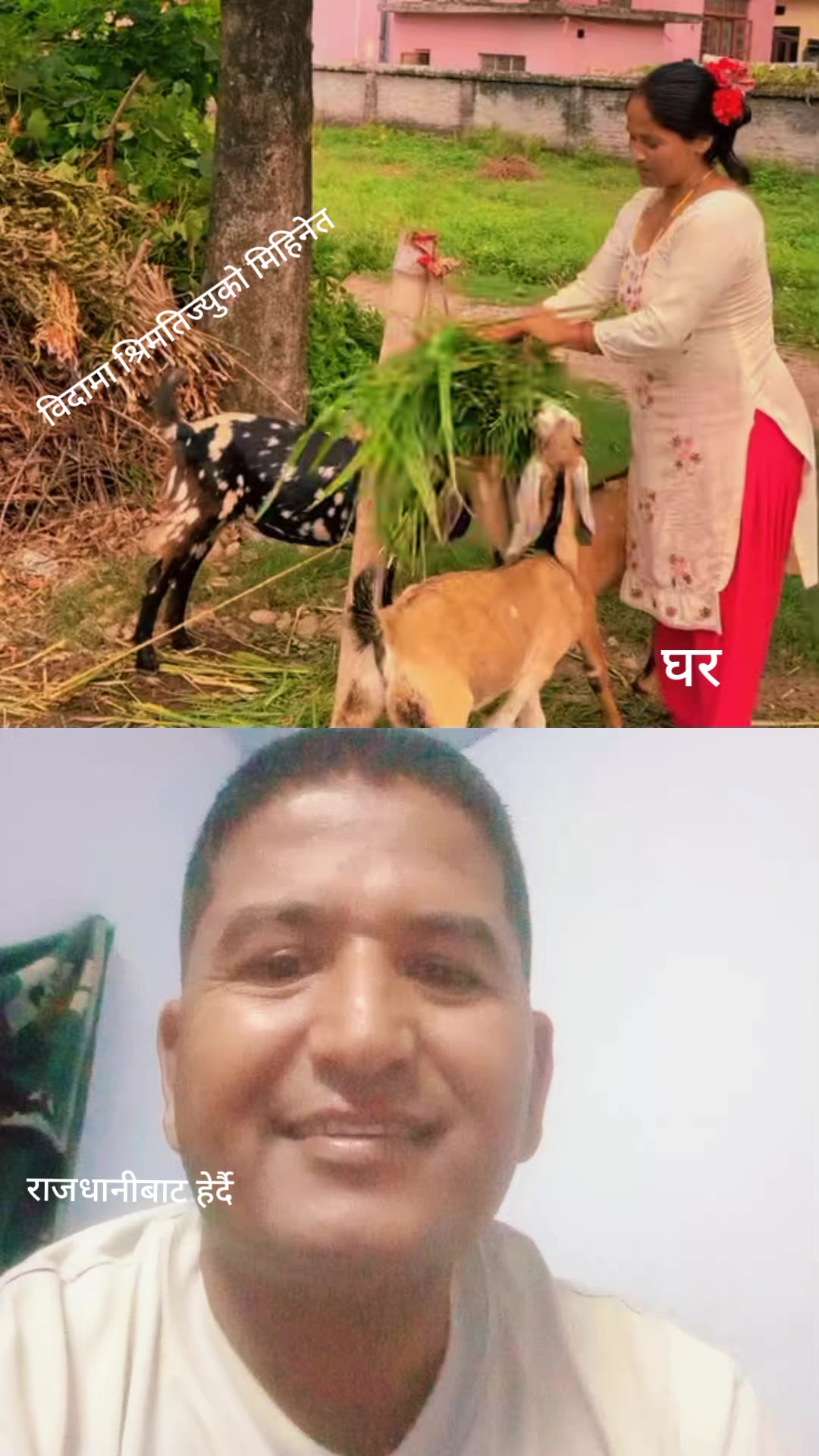 @jhapatsodari