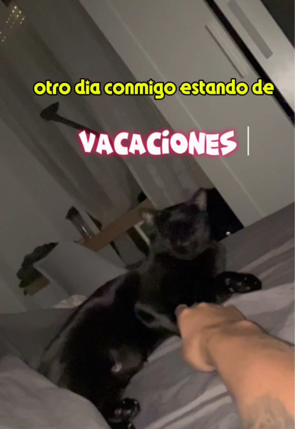 @alba⭐️