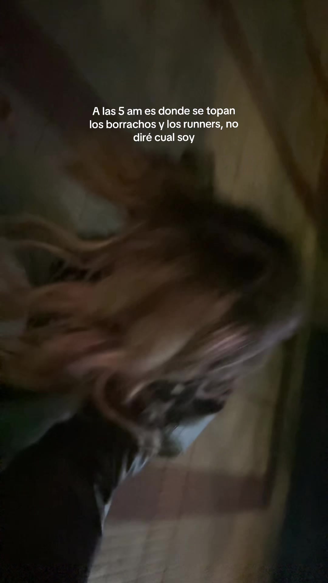 @Anduuuu ᥫ᭡