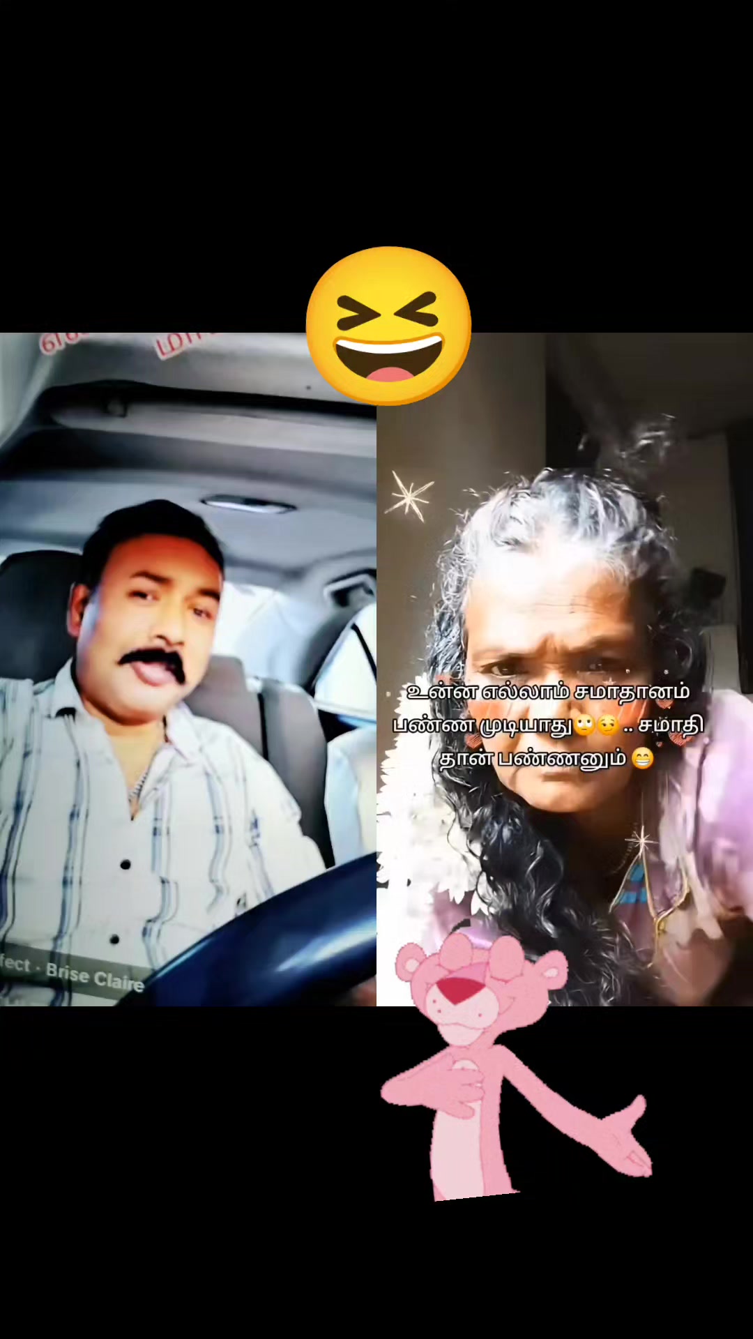 @lionledysafnarawdey