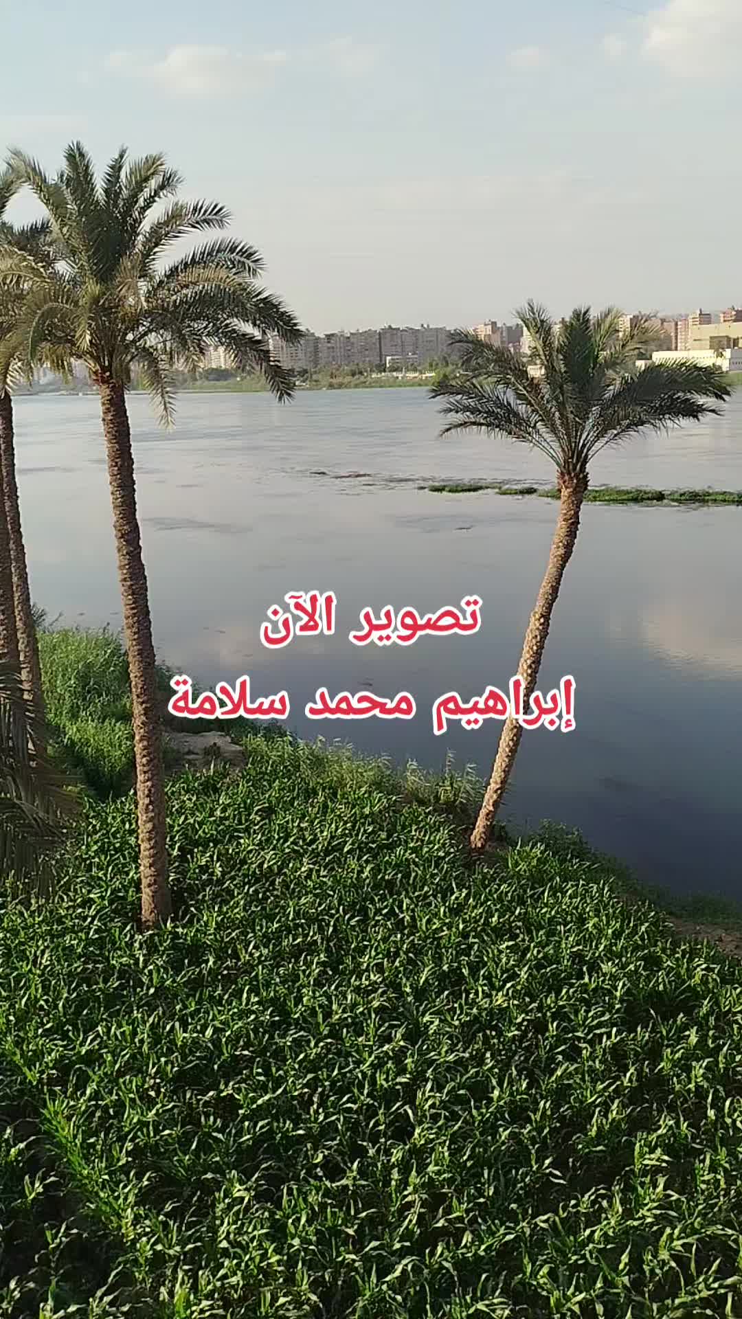 @الاستشاري ابراهيم محمد سلامة