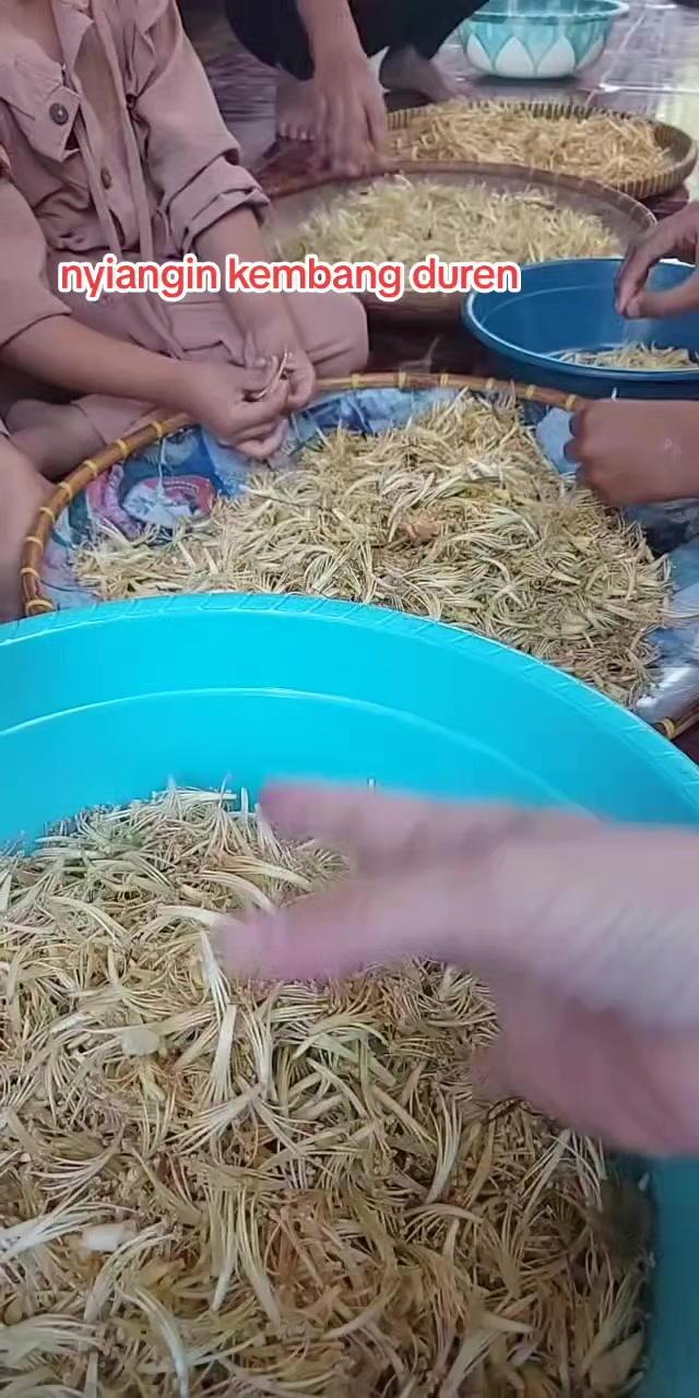 @ita endita