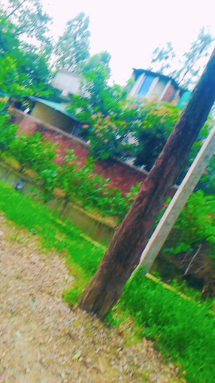 @No.love my life ๐๐๐๐