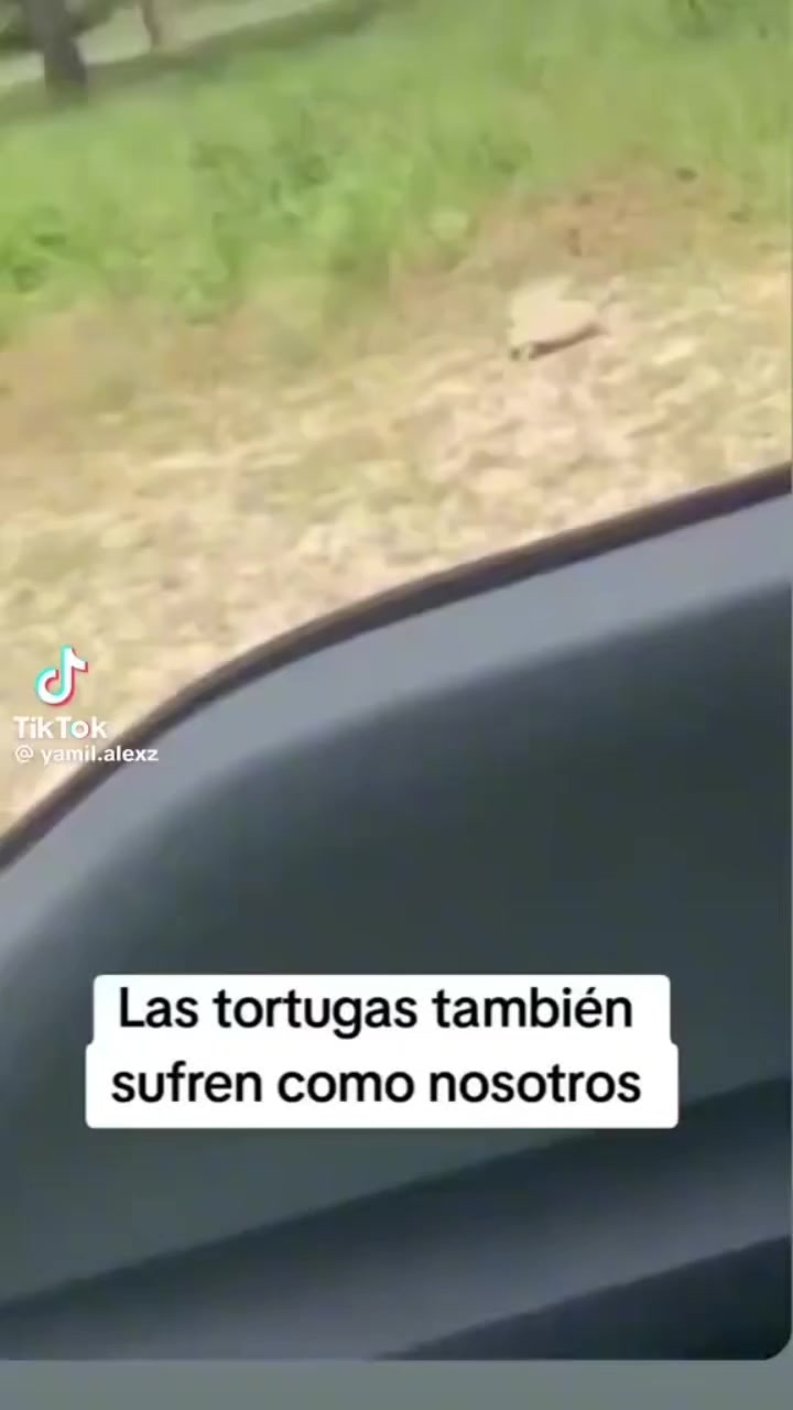 @Pandajadas!