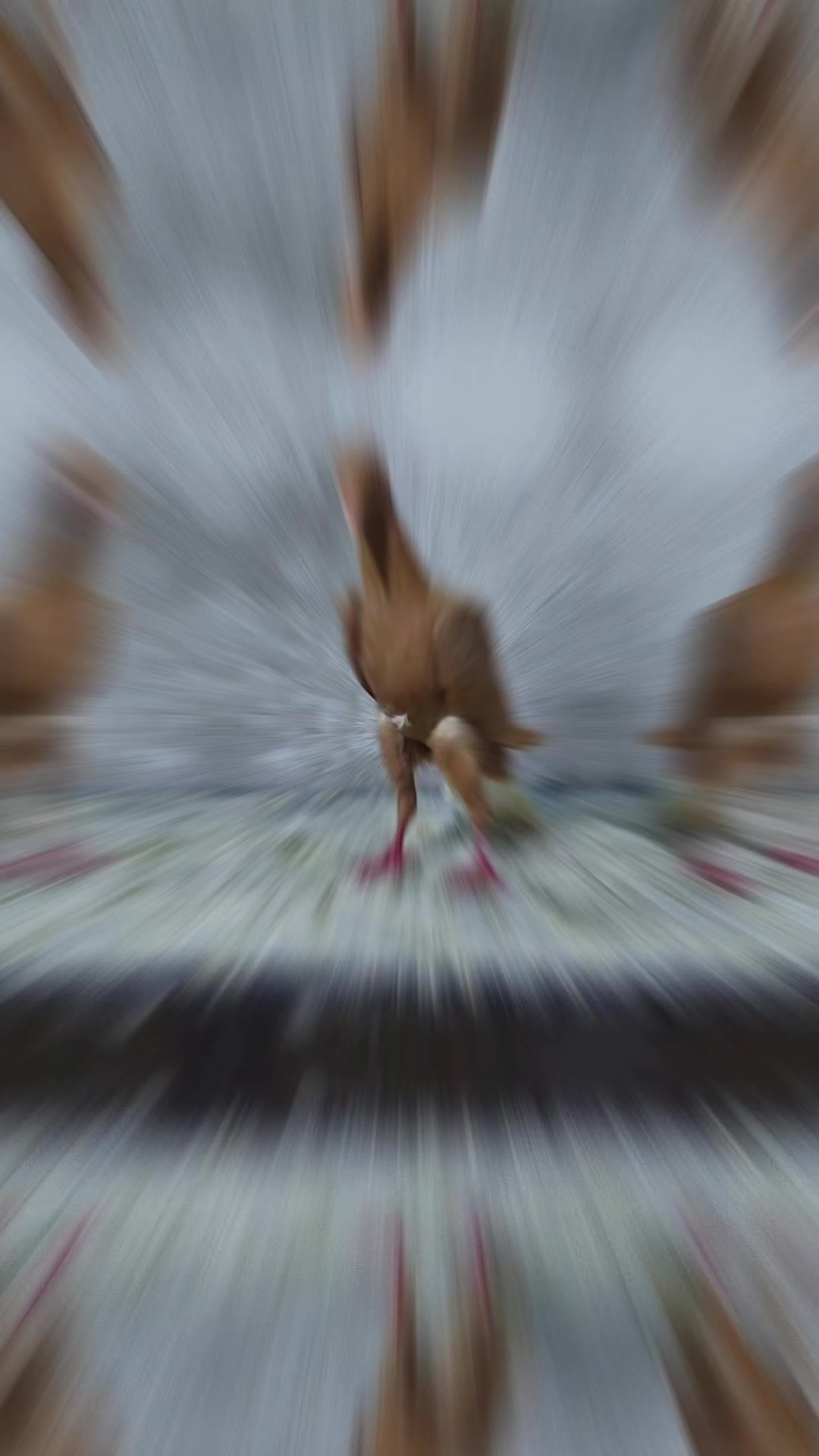 @GERAN