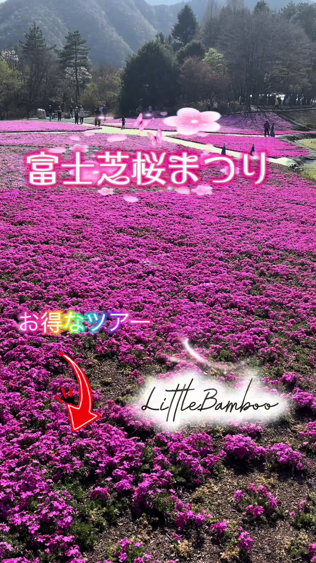@LittleBamboo.ls