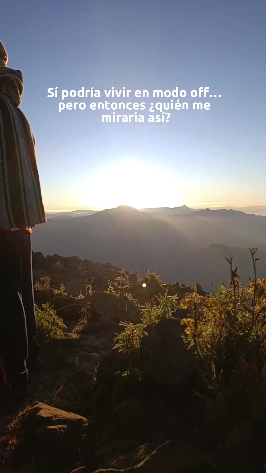 @AMILCAR