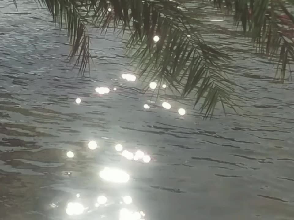 @𝘿𝙄𝙂𝙄𝙏𝘼𝙇𝙄𝙎