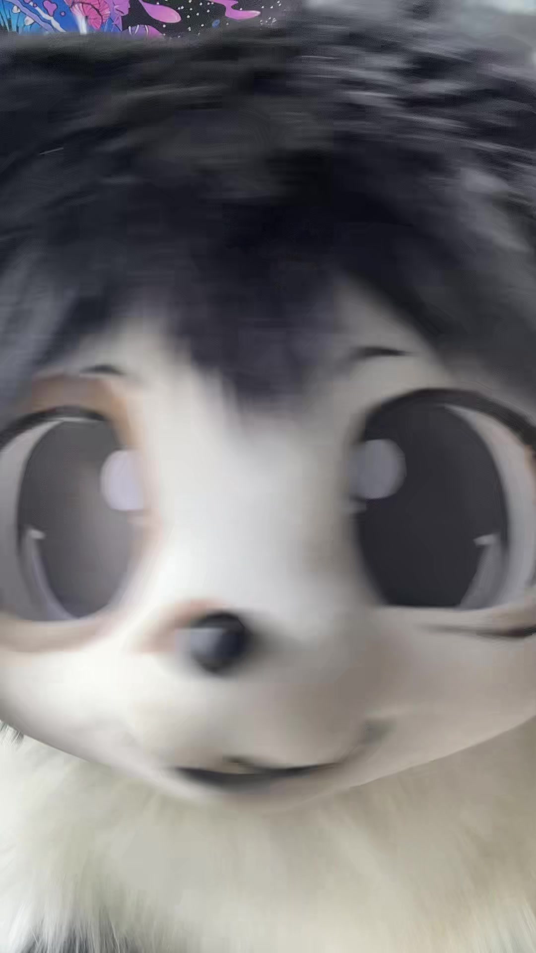 @🐾koddyyyyy🐾