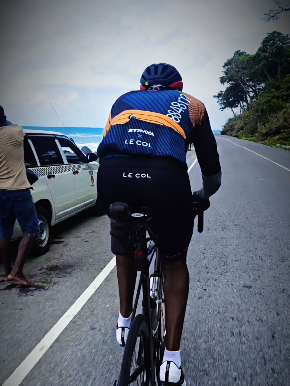 @pedalpulse