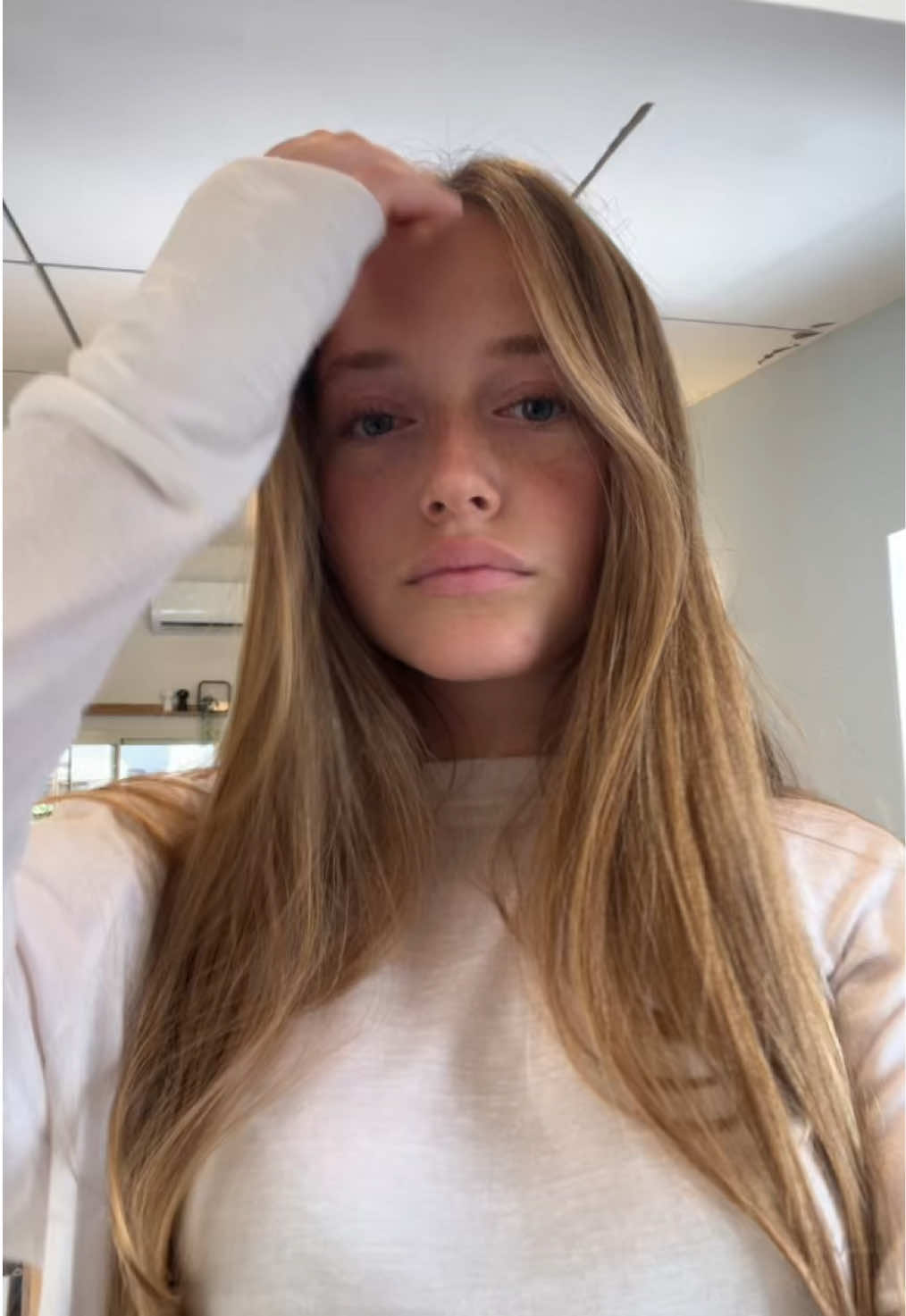 @maayan