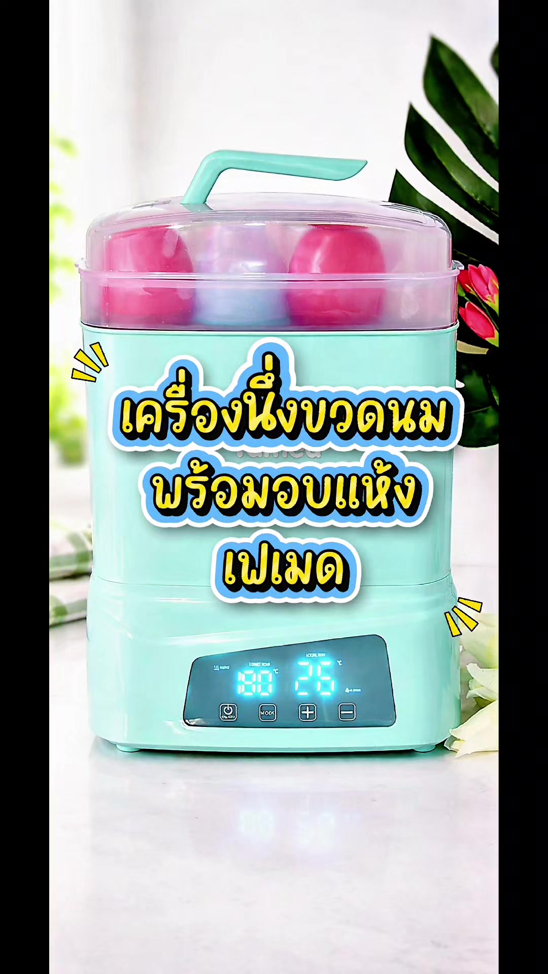 @famedthailand