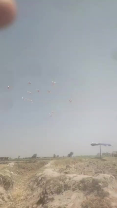 @JAGIRANI