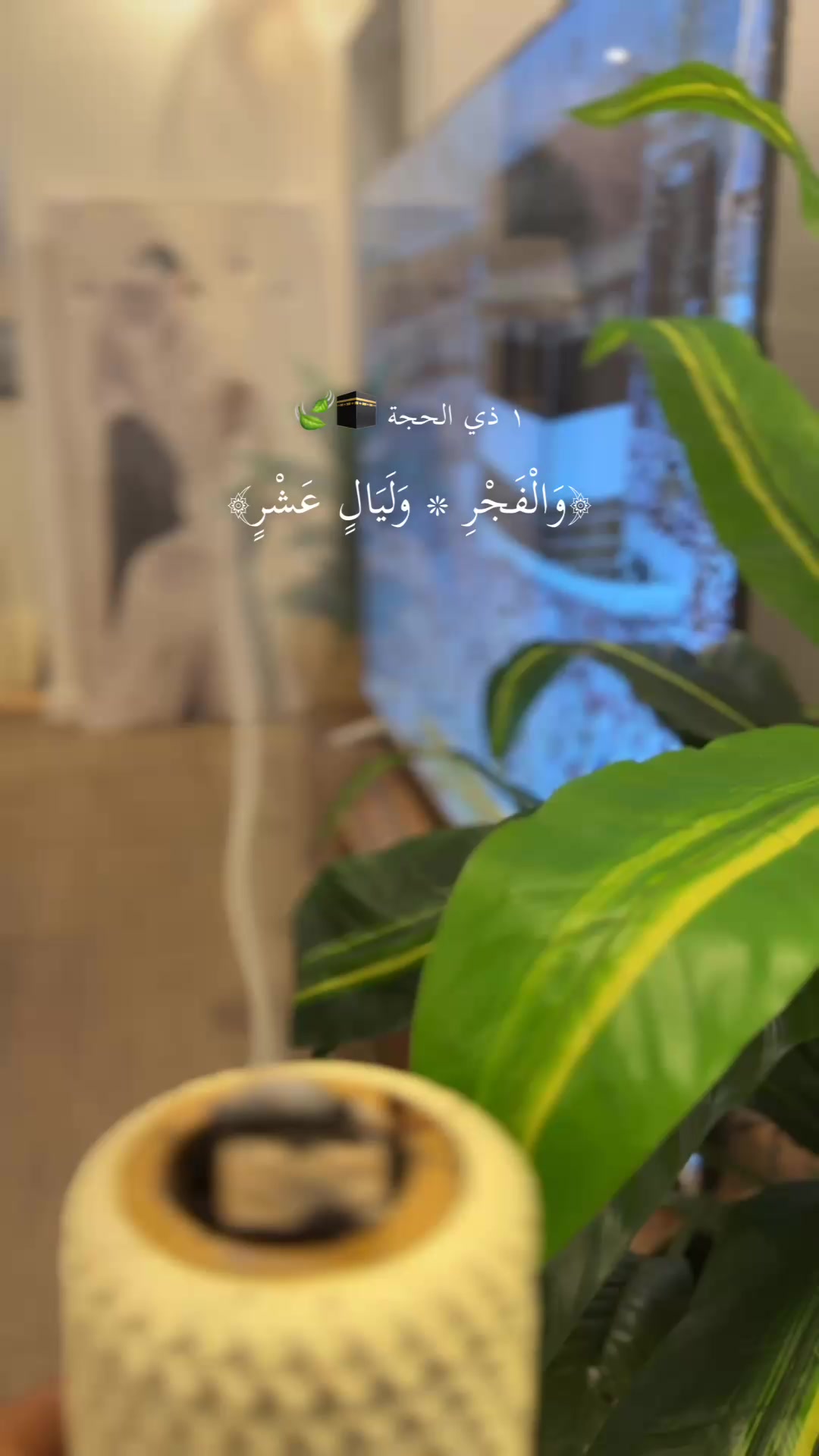 @shoodhlali