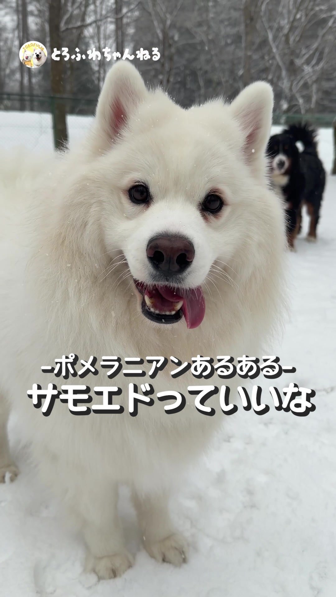 @とろふわ