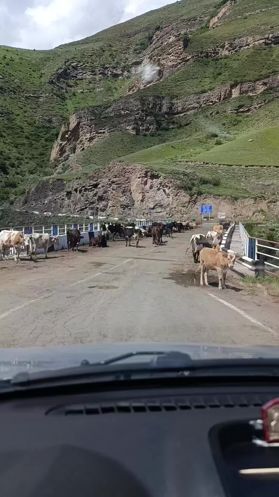 @Алексей