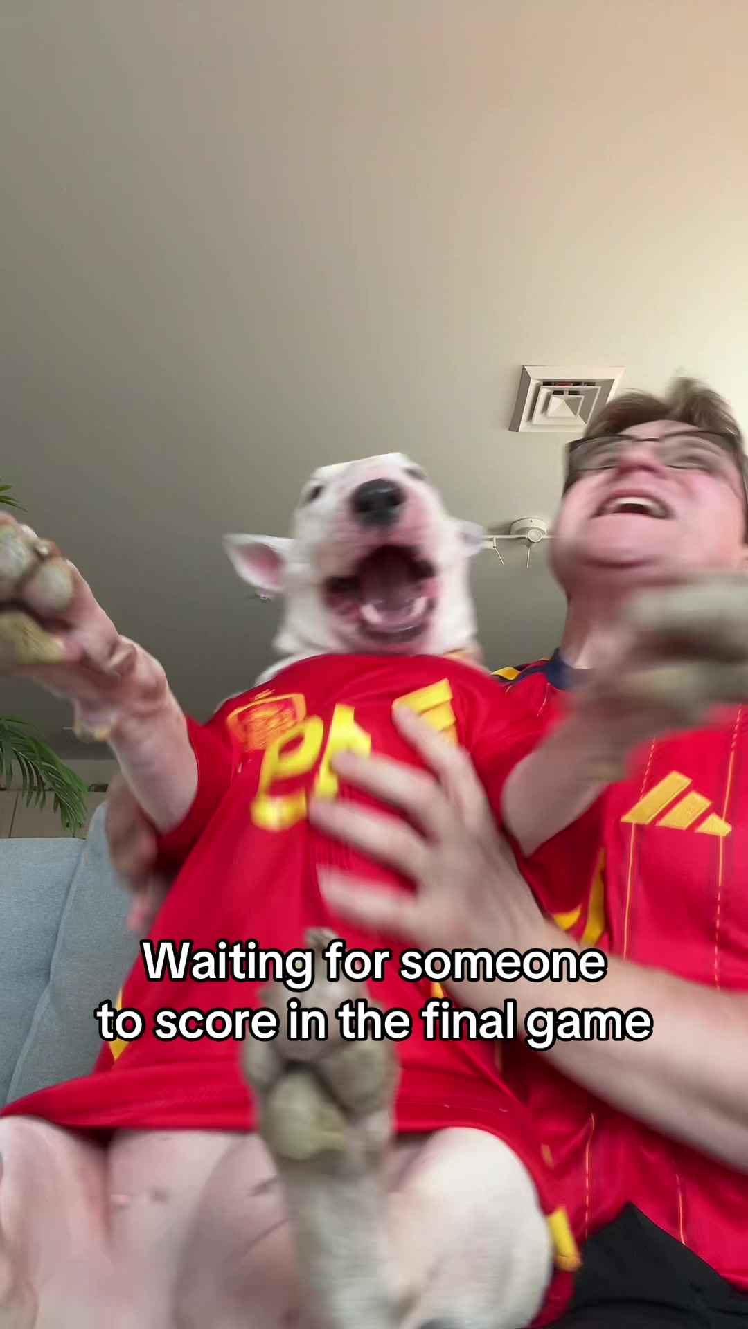 @notmistermainer