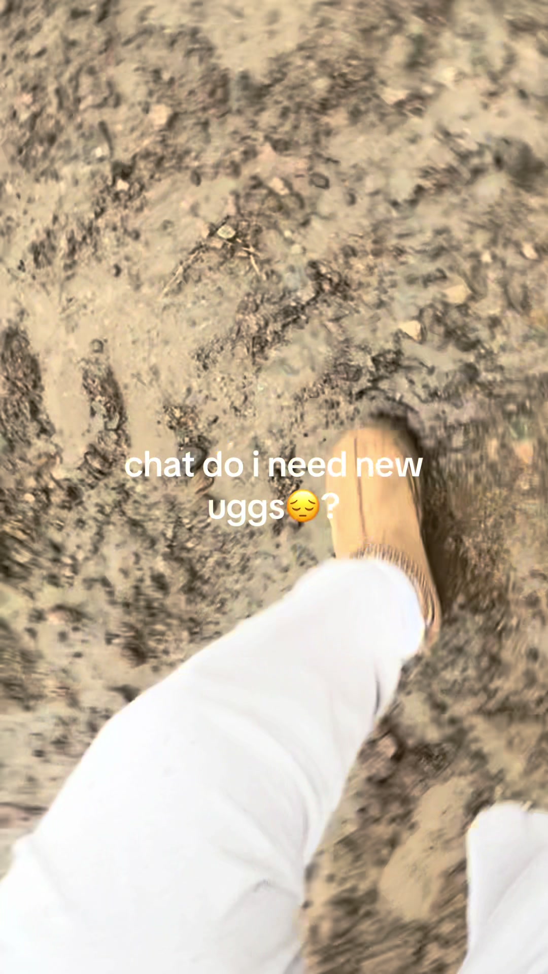 @cashcartinatt