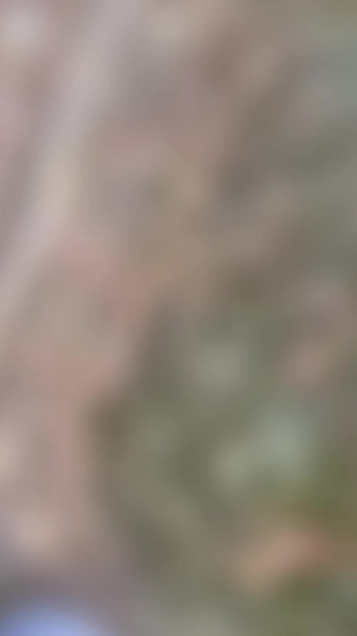 @womenwithapurpose