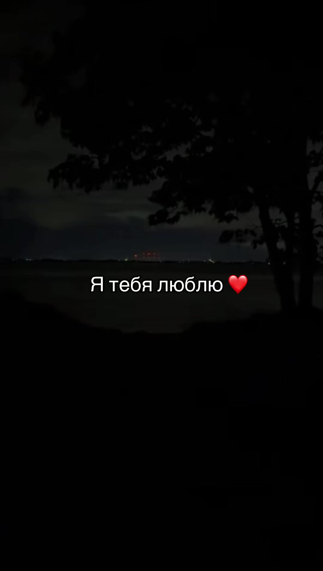 @🦇mindsnaps666🦇