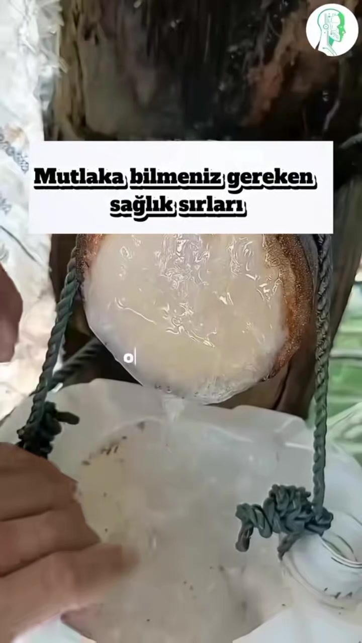 @bazidli adem04
