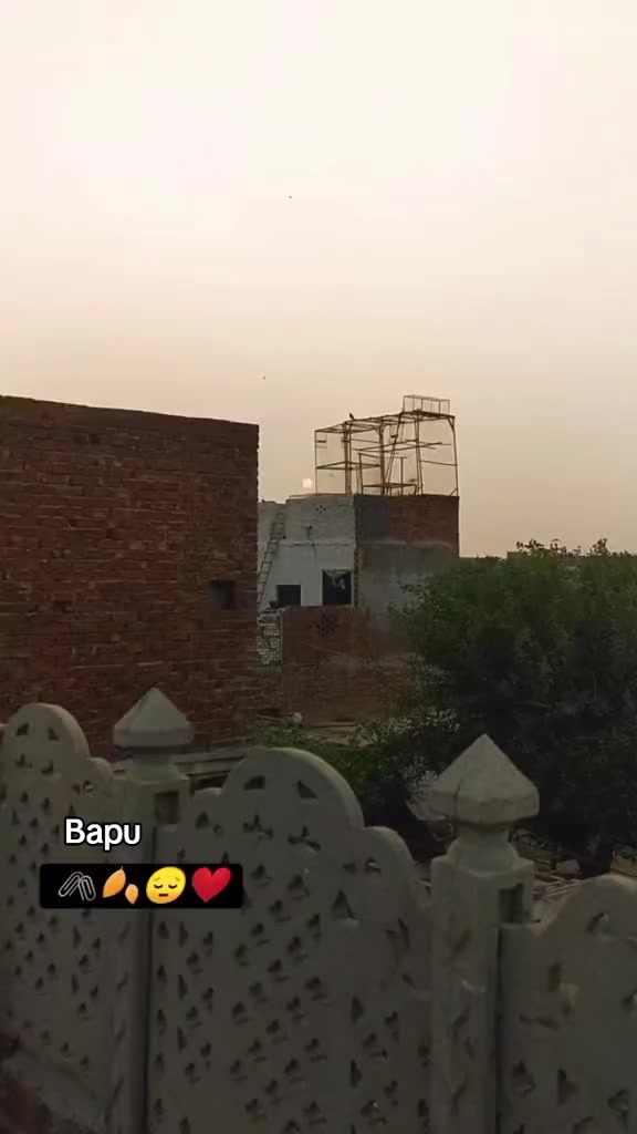 @❤️🩹شانی سندھو 🌱🌾