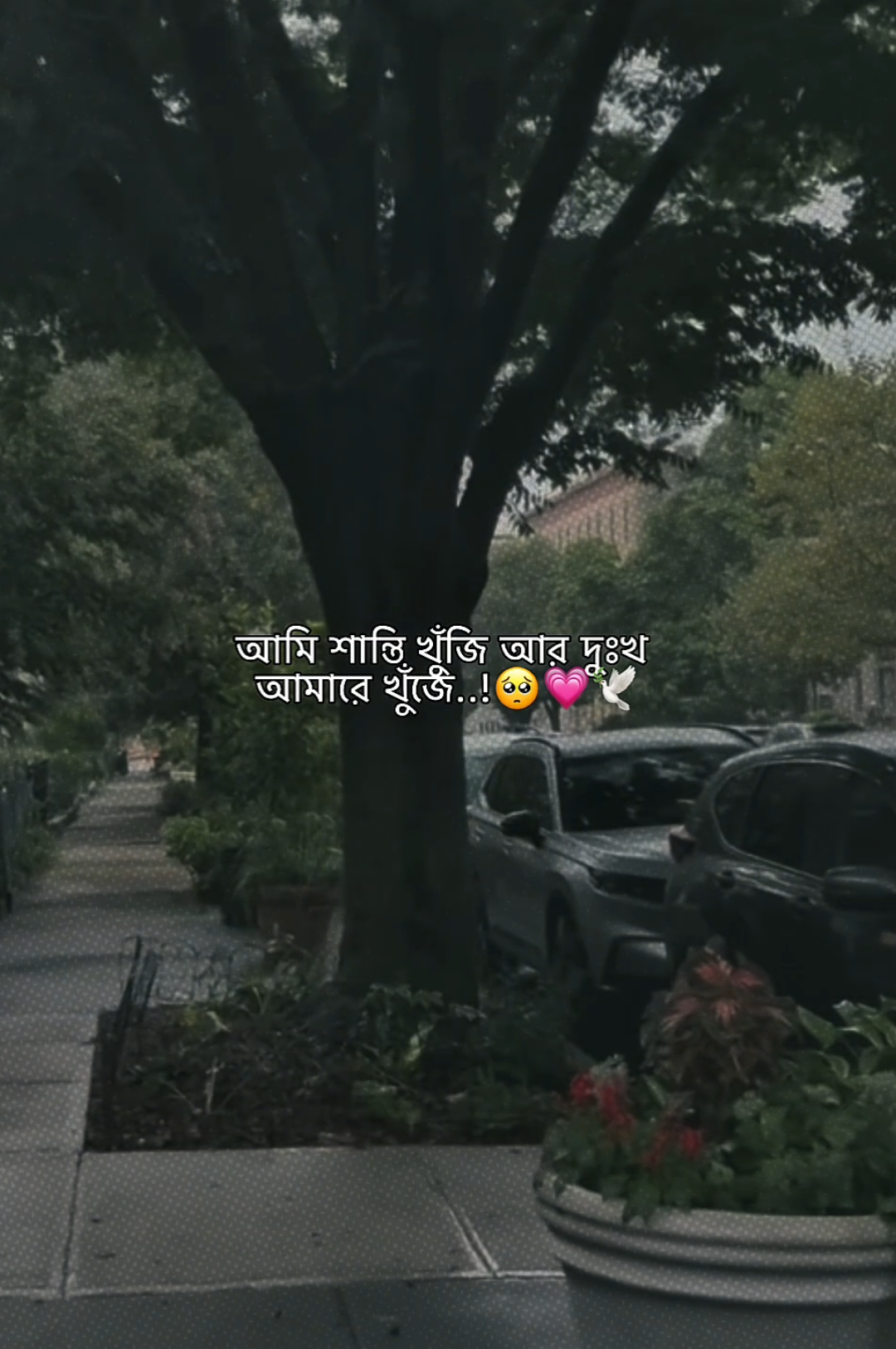 @𝗠𝗮𝘀𝗵𝗮𝗹𝗹𝗮𝗵 𝗔𝗽𝘂'♡︎🌷