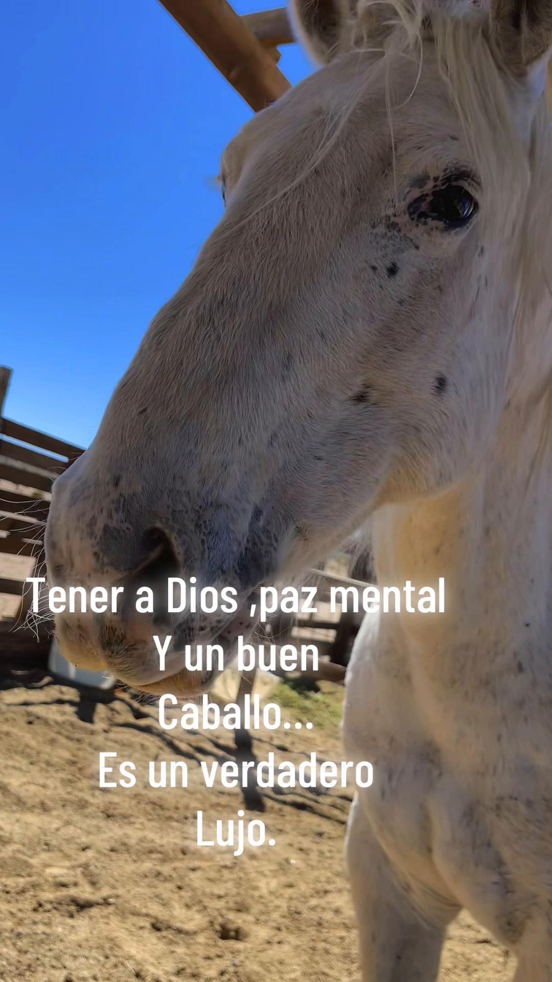 @Kache Barrios Jurado