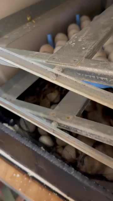 @G3 Farm & Fowl Supplies