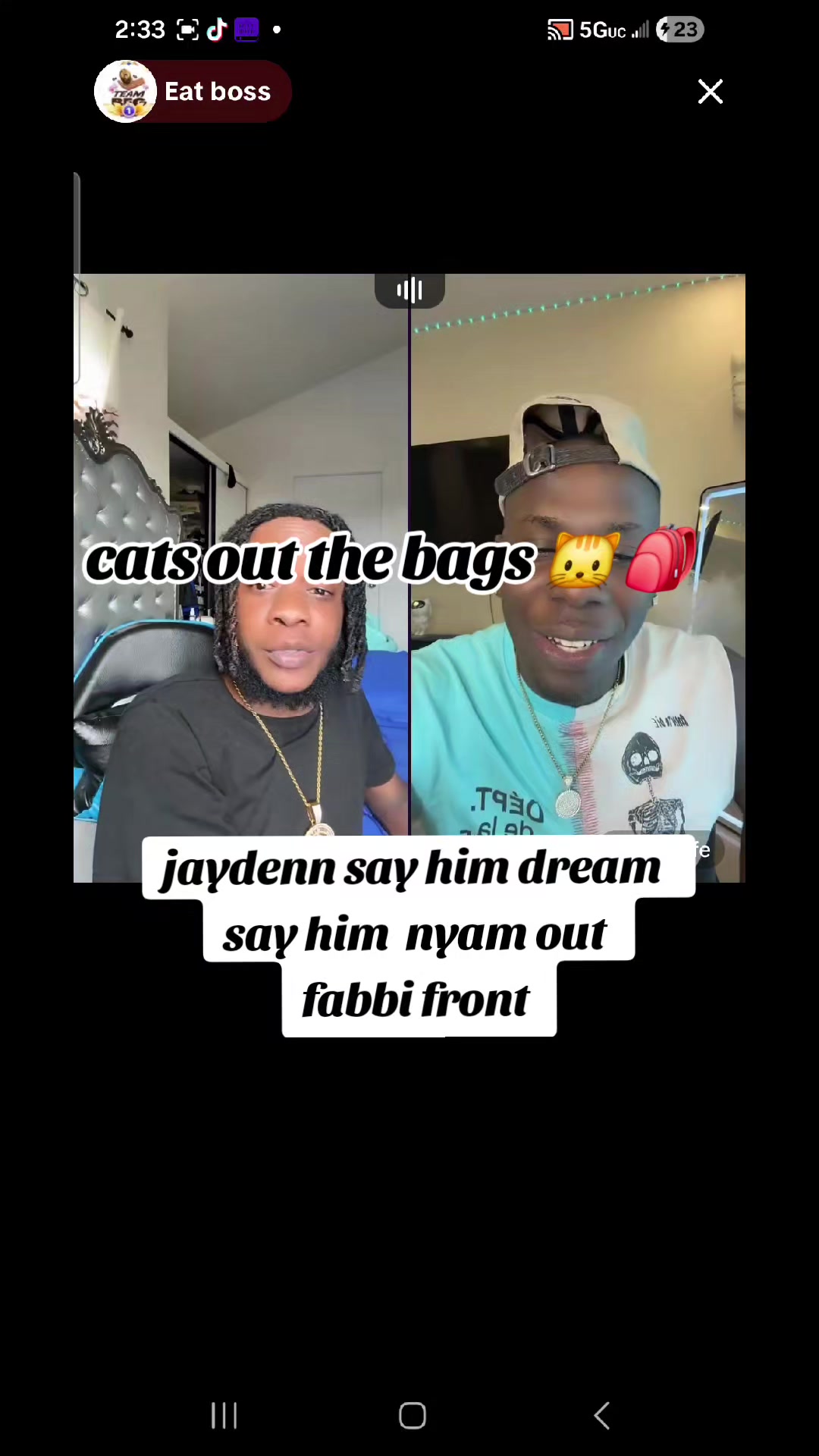 @cats out  the bags 🐱🐱🐱🐱🐱