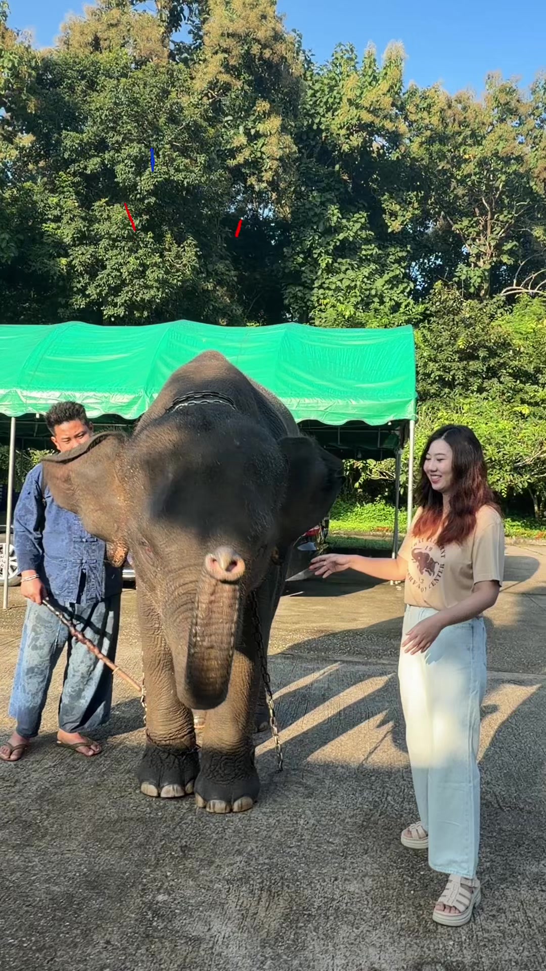 @Qvy Boonchanawiwat