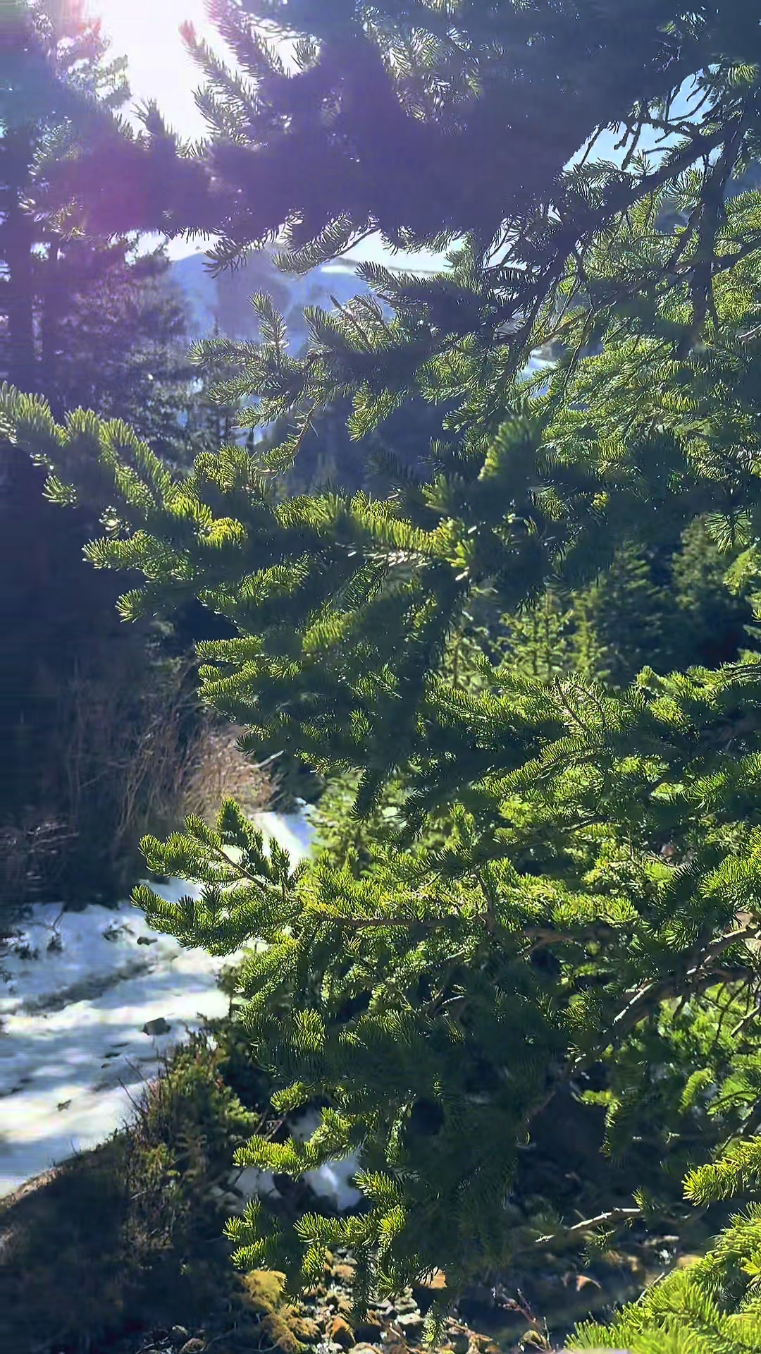 @outdoors adventures ⛰️⛰️🏔️🏔️