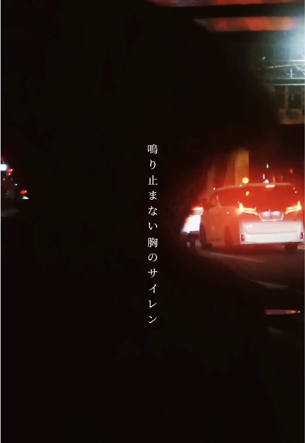 @52Hzのクジラ
