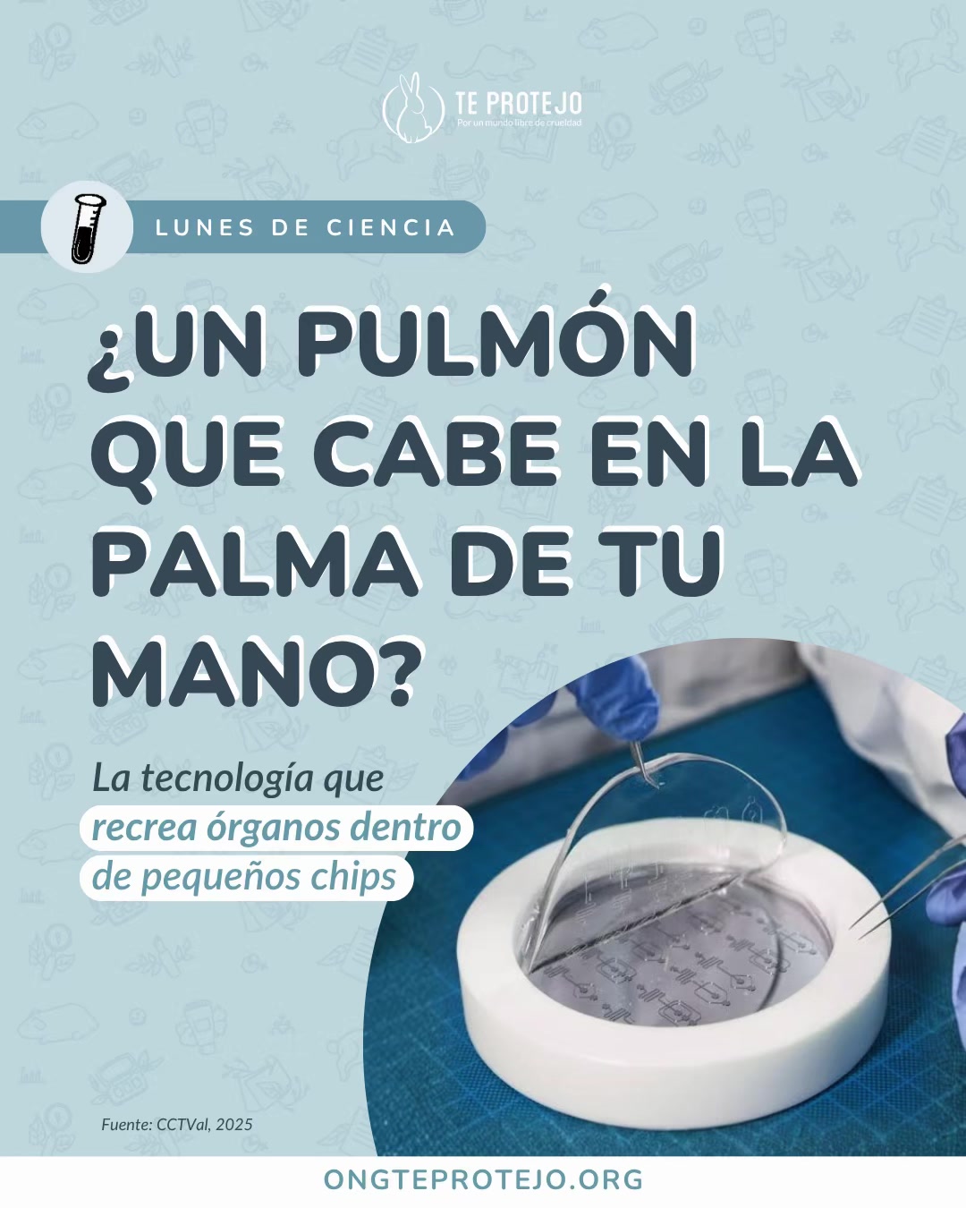 @Te Protejo