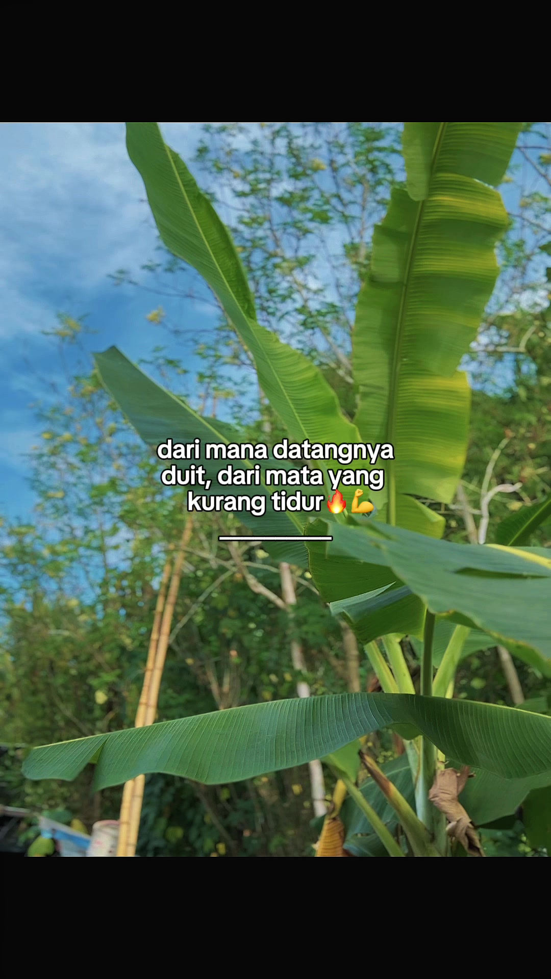 @INTROVERT