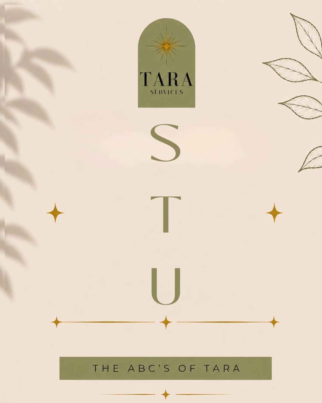 @TARA Services - VA