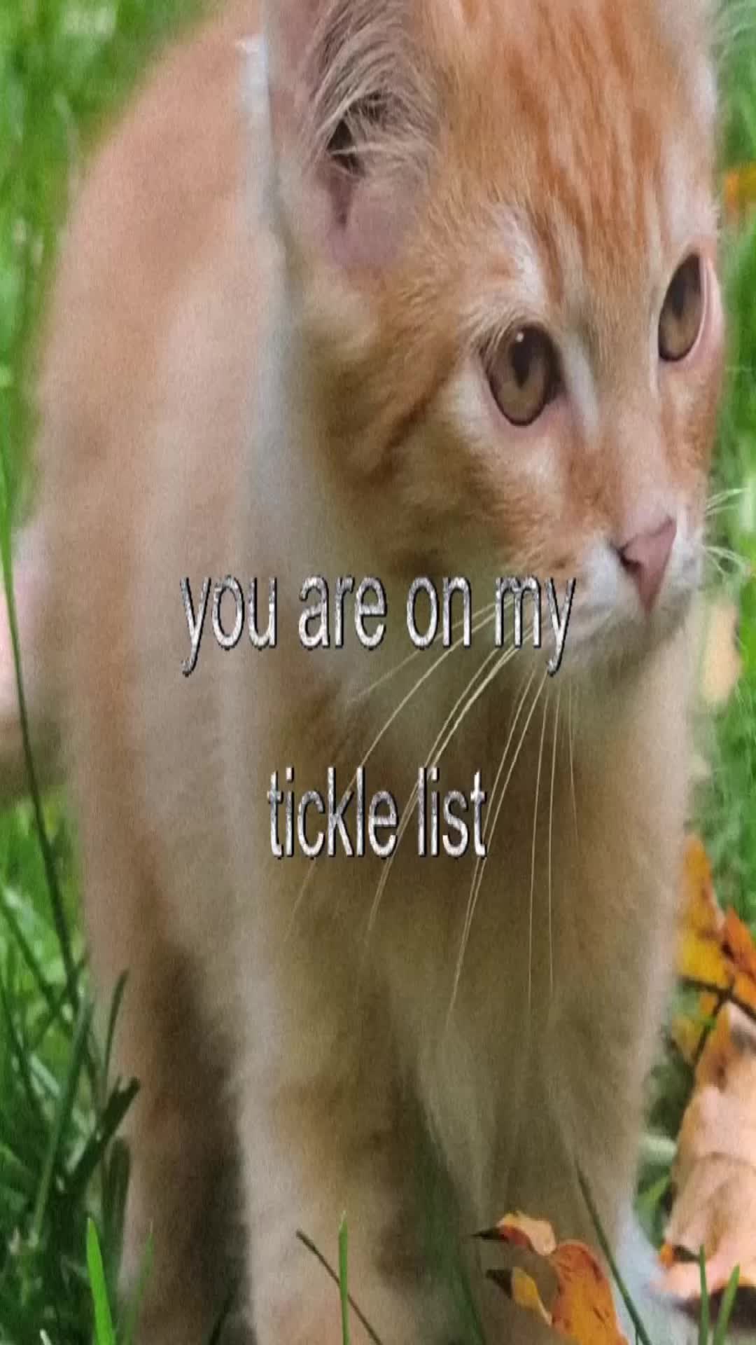 @gerhl