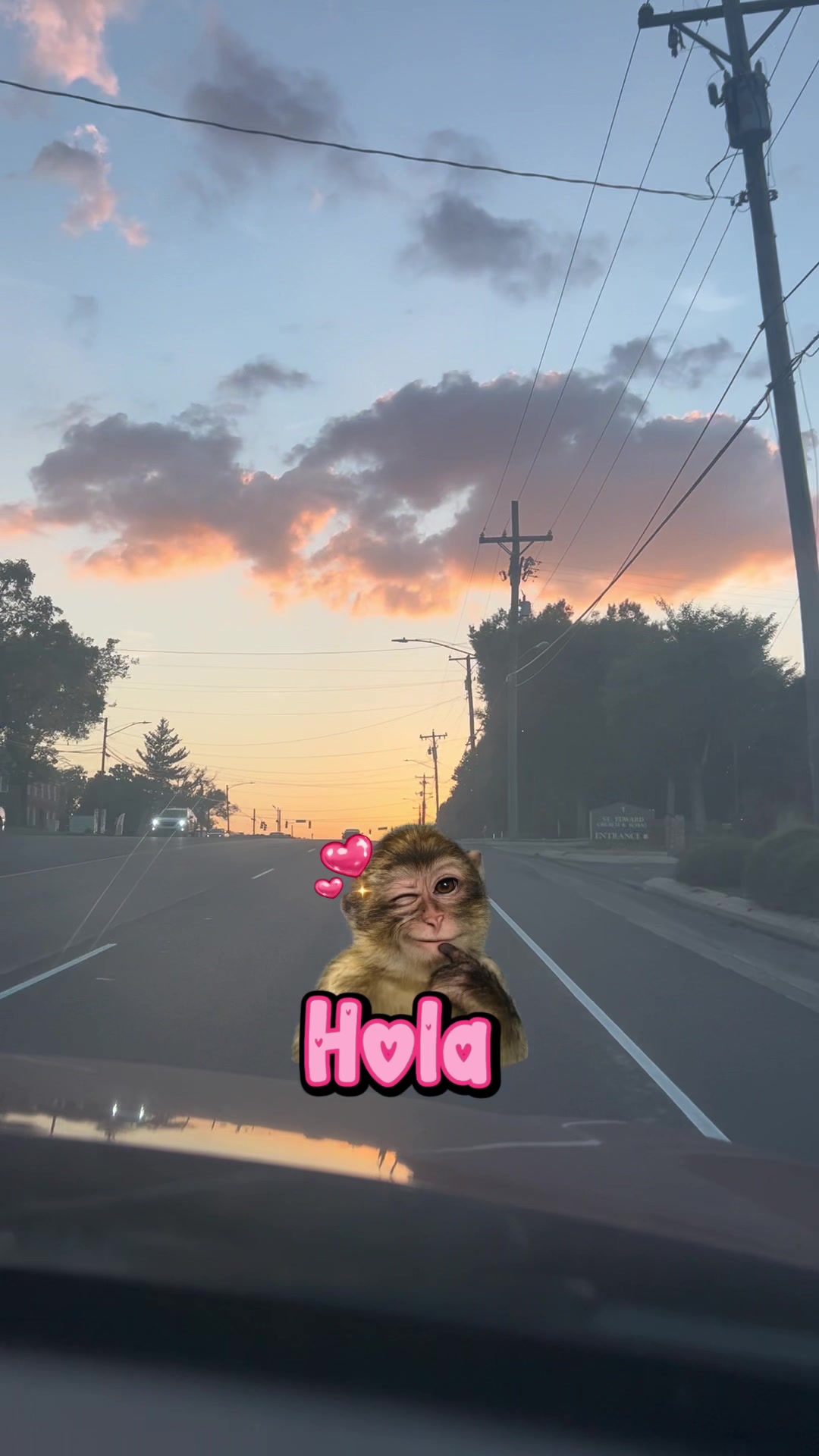 @Carol _Mu&ntilde;oz🌸🎀