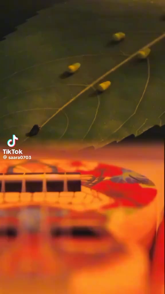 @Suganthini Suganthini