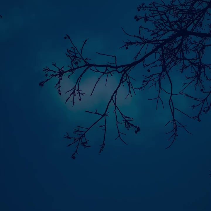 @꧁༒☬𝐌𝐢𝐫𝐳𝐚 𝐦𝐨𝐧𝐢𝐚☬༒꧂🥀