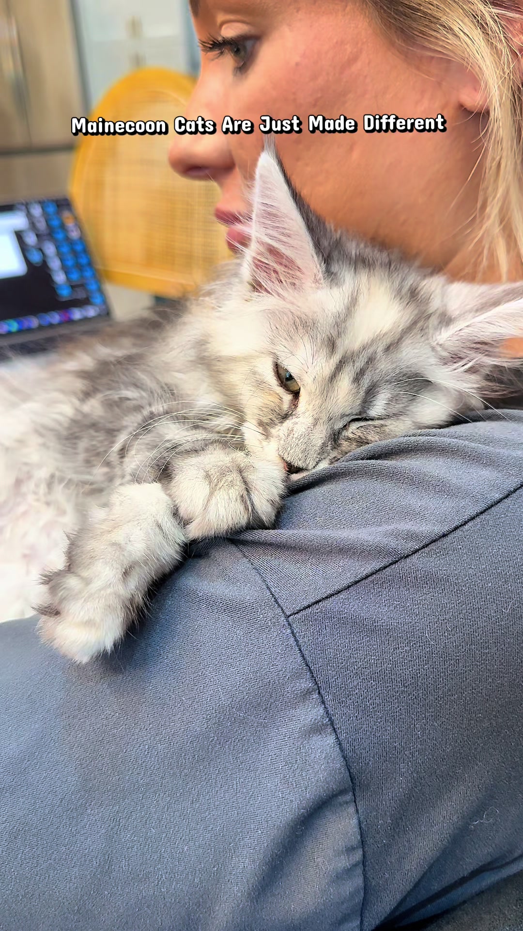 @AristoCoon Cattery