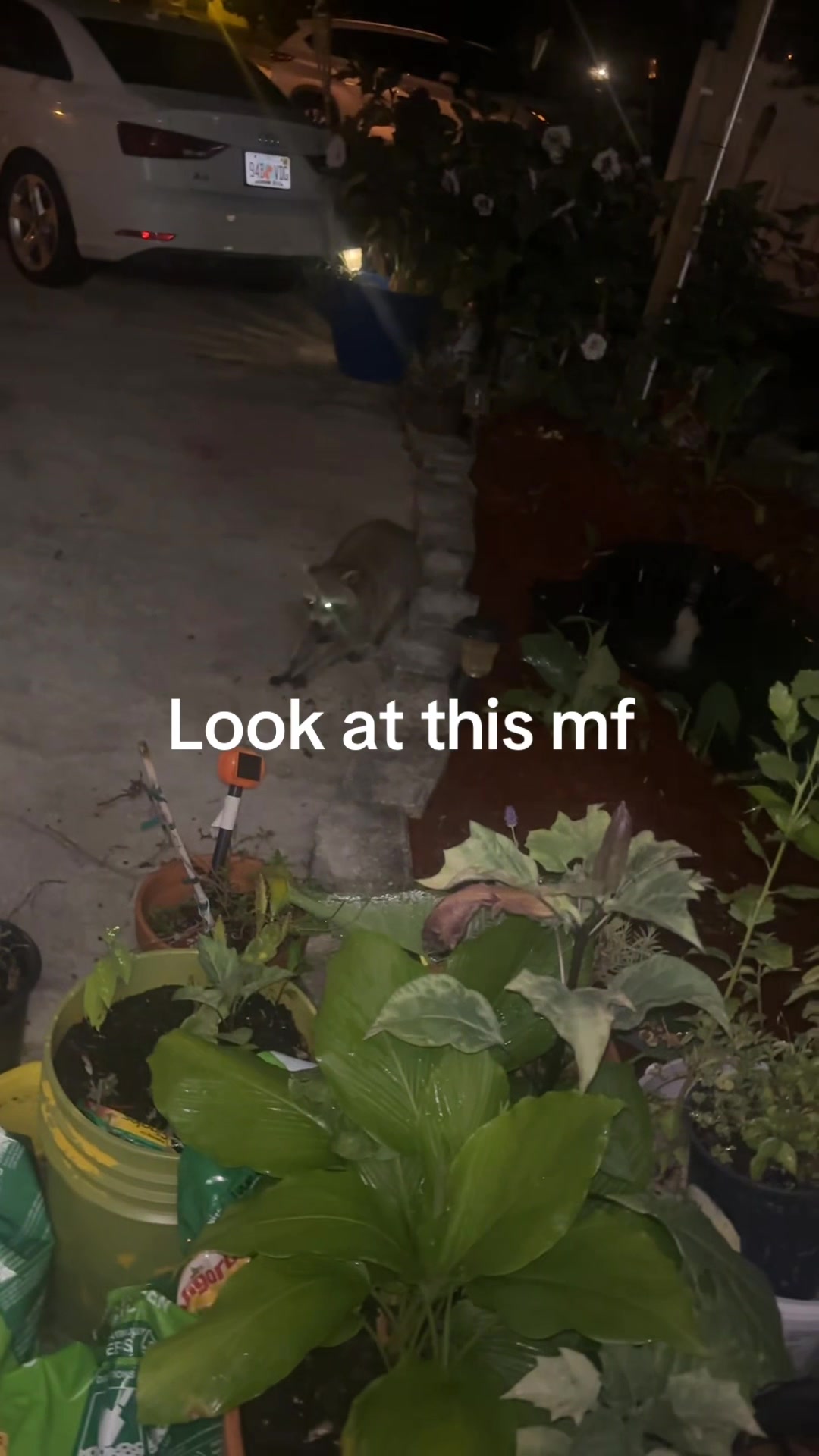 @Xavier Serrano
