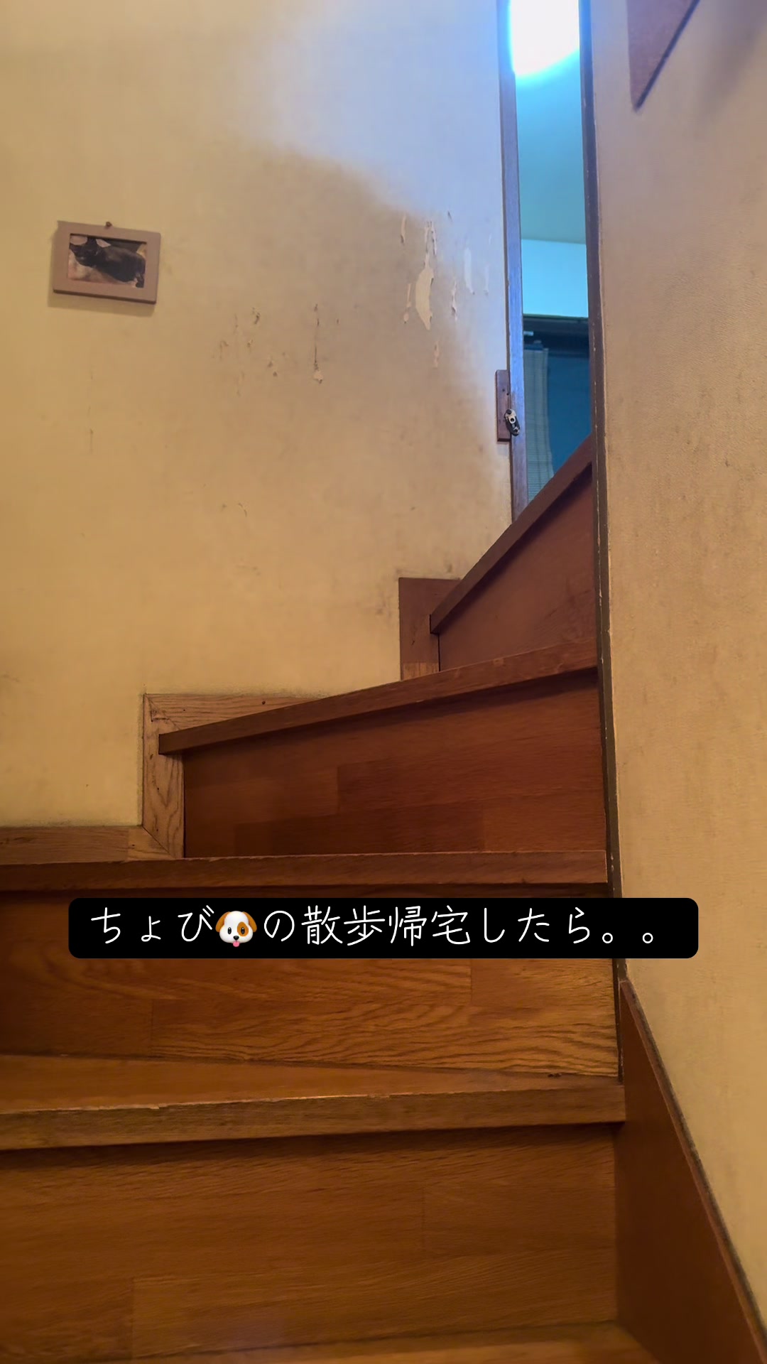 @颯空〔さつき〕君のママ
