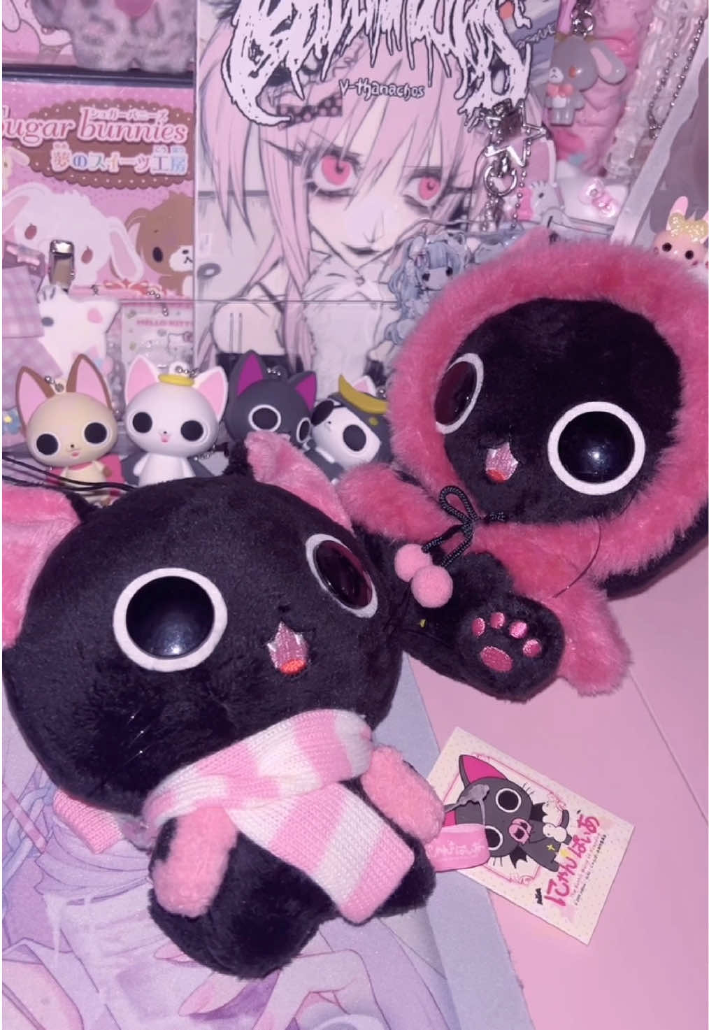 @たかなめんたいこ🧠🦴