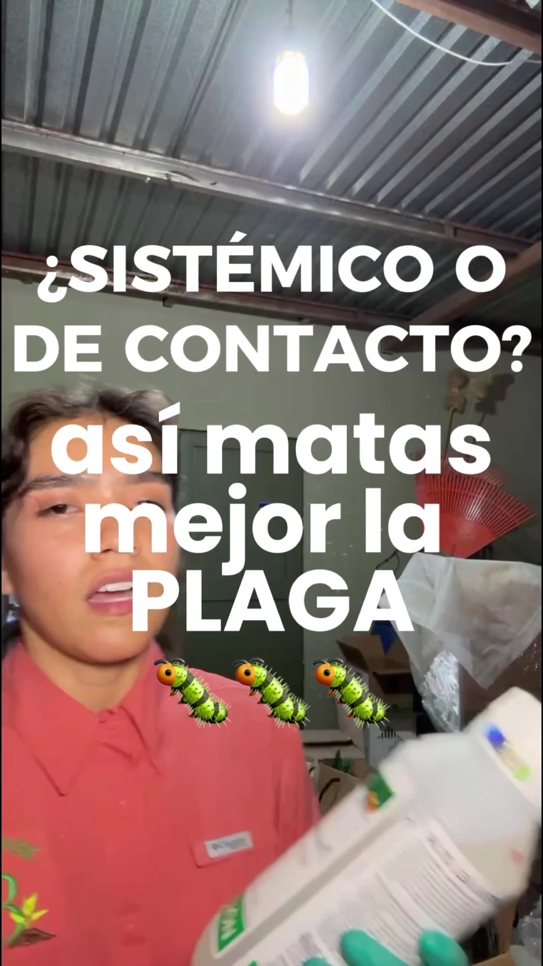 @inge.sara