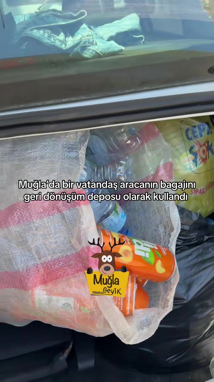 @Muğla Geyik