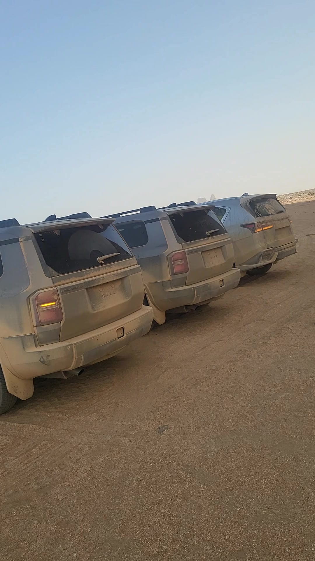 @Automobil_poacher